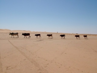 Afrique