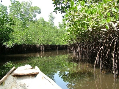 Badoudou 186 - Pirogue - Senegal