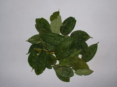 La Paz 007 - Feuilles de coca - Bolivie