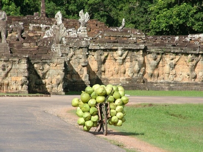 Angkor - 101 - Bayon - Velo noix de coco - Cambodge