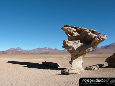 Fond-ecran-Salar d uyuni Arbol de piedra
